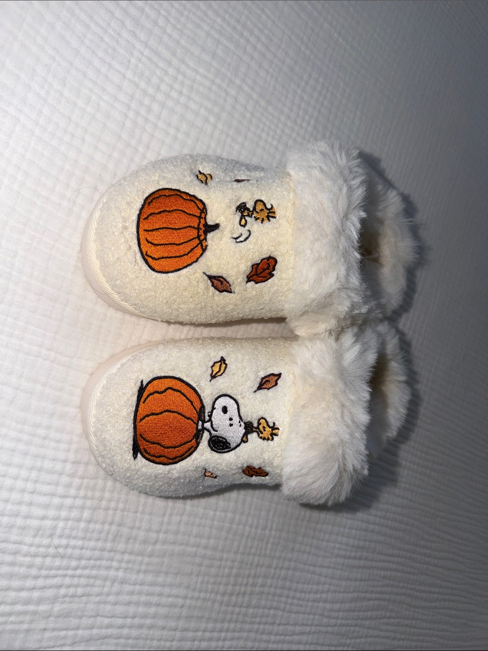 American Eagle Snoopy Slippers